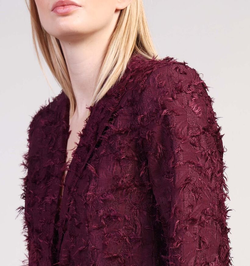 Vila Wagne Bordeaux Blazer voor dames (365591)