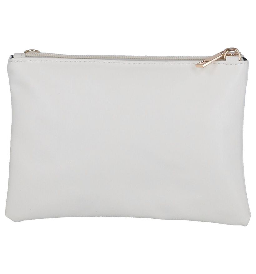 Zilveren Clutch Tasje Dolce C. in kunstleer (251726)