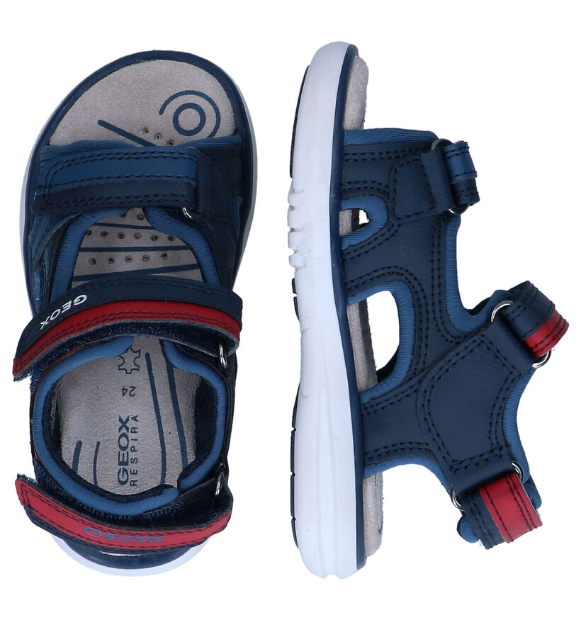 Geox Maratea Sandales en Bleu en simili cuir (302112)