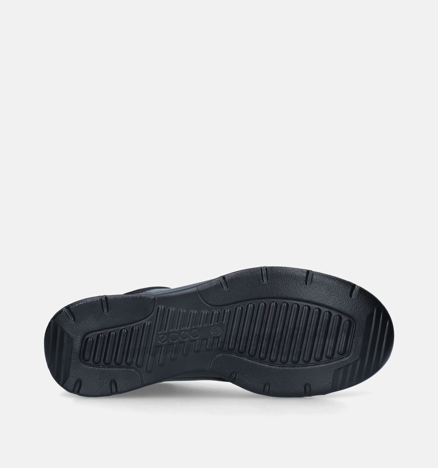 Torfs ecco new arrivals