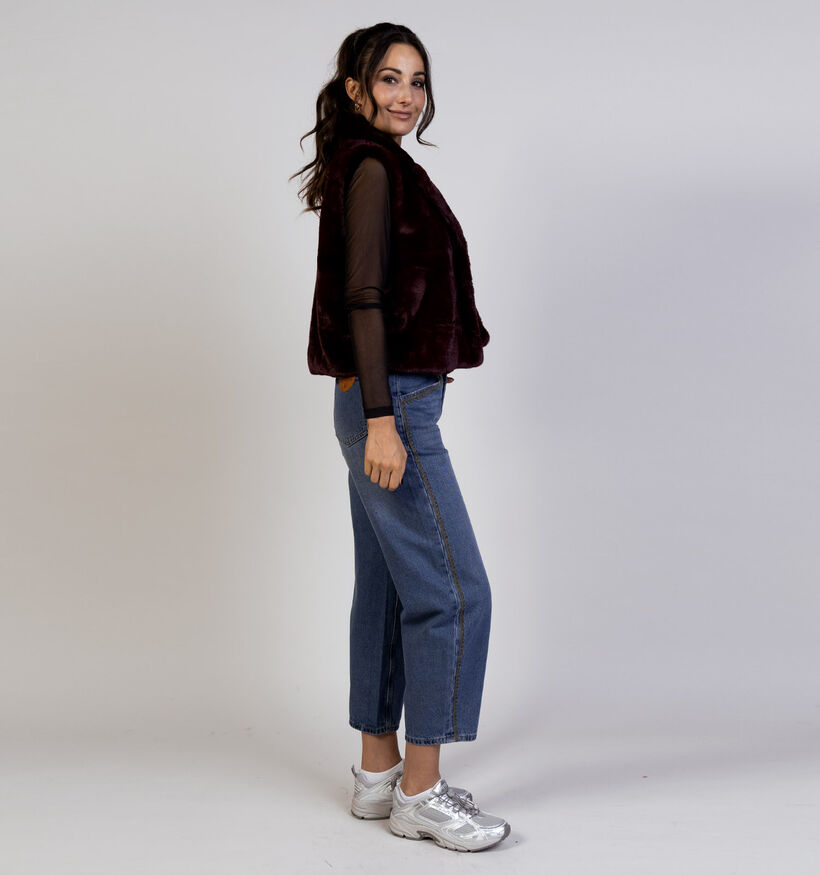 Mexx Blazer en Bordeaux pour femmes (365615)