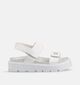 Tommy Hilfiger Milk Witte Sandalen voor meisjes (368693)