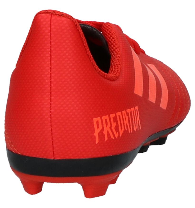 Rode Voetbalschoenen adidas Predator 19.4 IN FxG, Rood, pdp