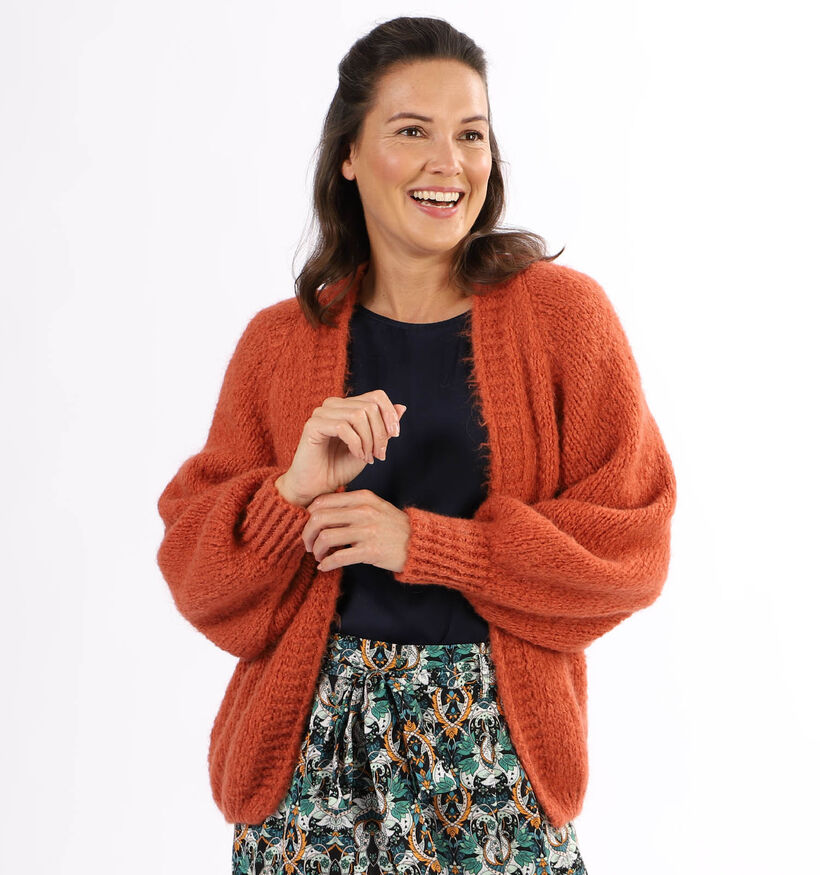 Dolce C. Oranje Cardigan (304353)