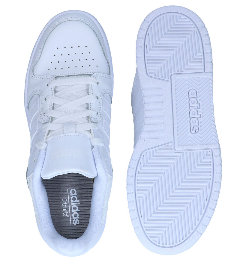 adidas Entrap Baskets en Blanc en cuir (276466)