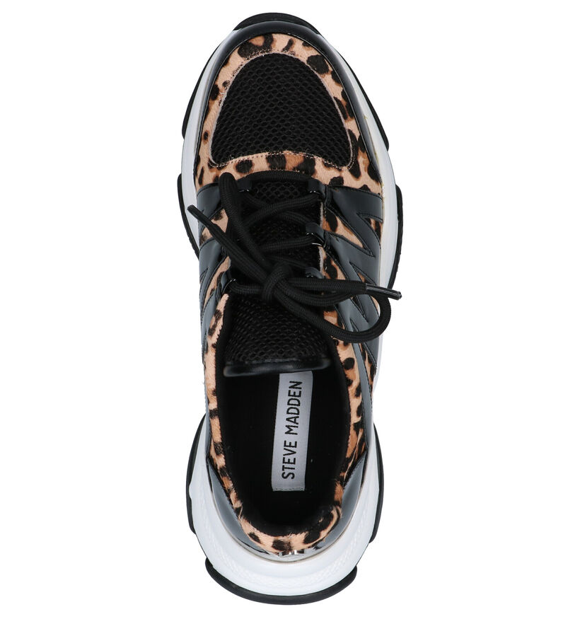 Steve Madden Maximus Zwarte Sneakers in kunstleer (256079)