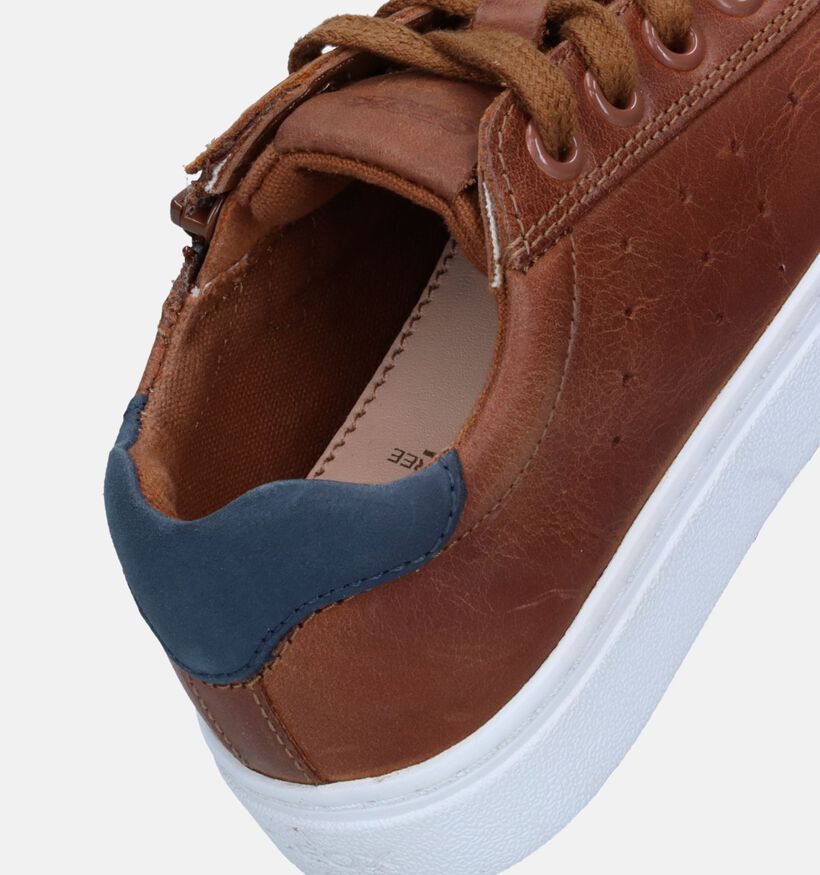 Geox Nashik Chaussures à lacets en Cognac pour garçons (339665)