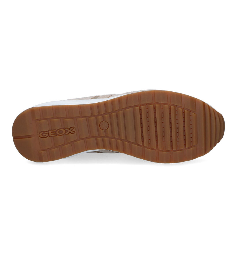 Geox Airell Beige Sneakers in daim (303646)
