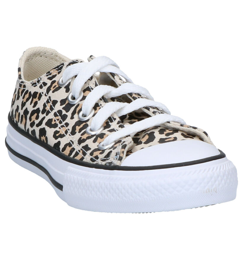 Converse Chuck Taylor AS OX Beige Sneakers in stof (263505)