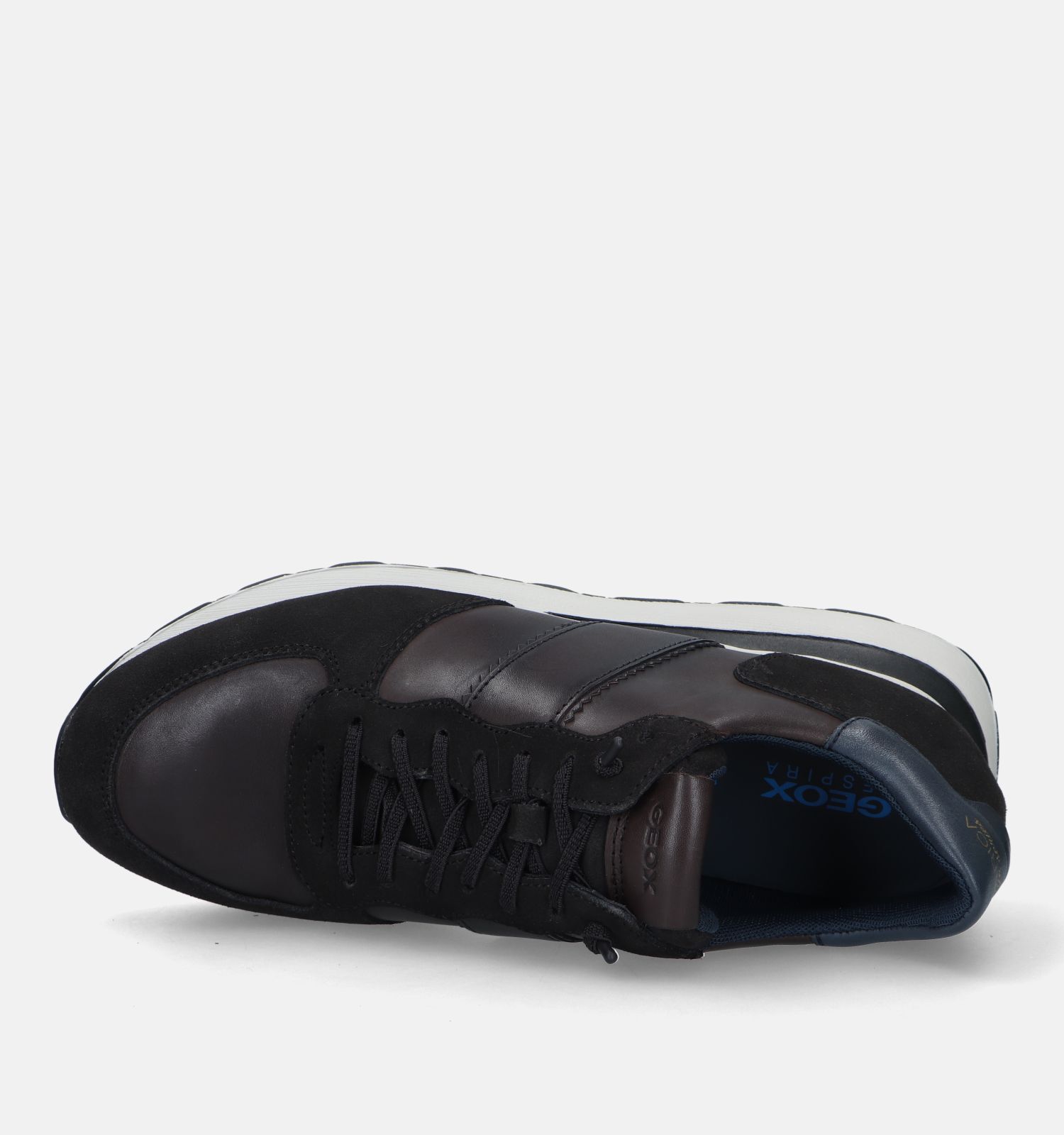 Chaussures homme sans top lacets geox