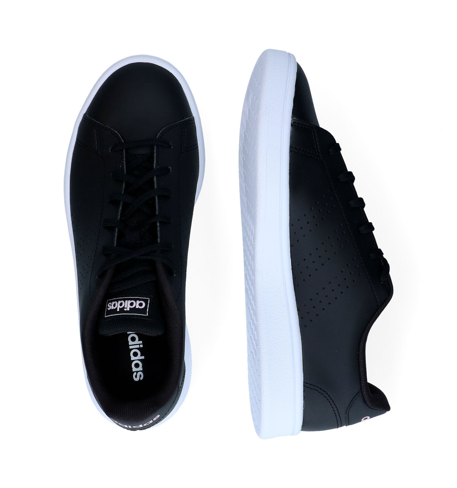 Adidas advantage noir new arrivals femme