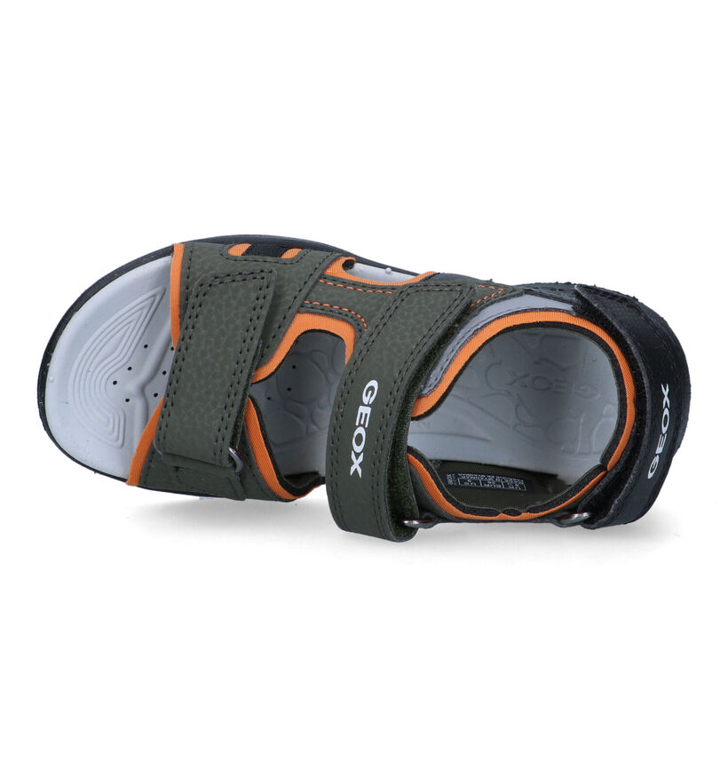 Geox Veniett Sandales en Vert kaki pour garçons (321554)