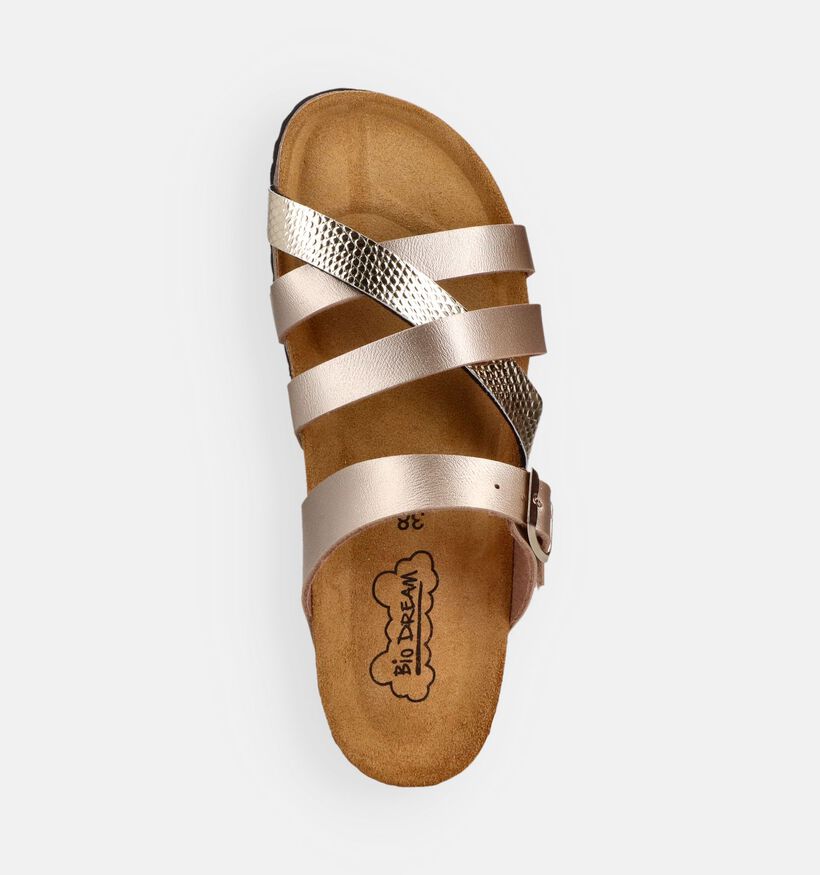 Bio Dream Gouden Slippers voor dames (373788)