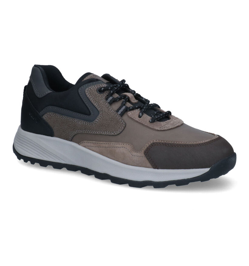 Geox Terrestre Chaussures à lacets en Gris pour hommes (312689) - pour semelles orthopédiques