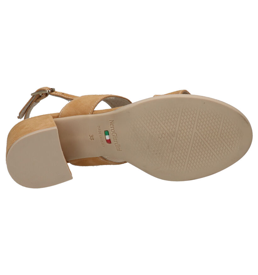 NeroGiardini Cognac Sandalen in nubuck (270565)