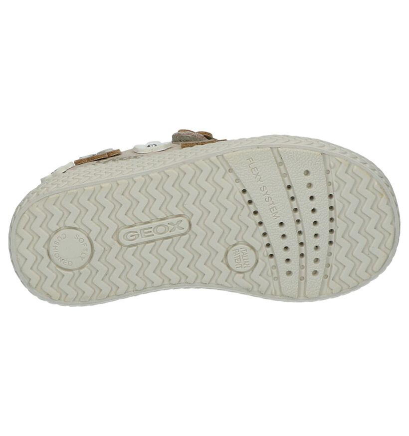 Geox Chaussures pour bébé  en Beige en textile (237974)