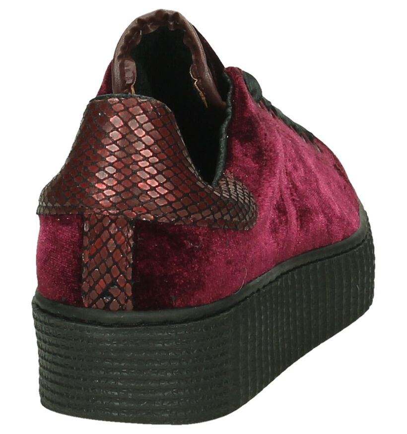 Tango Baskets habillées en Bordeaux en textile (198424)