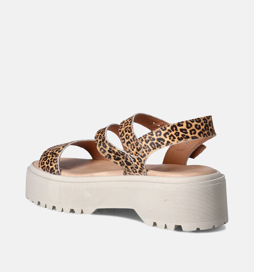 Sweet Lemon L.62.Nacere Sandales en Brun pour femmes (361382)