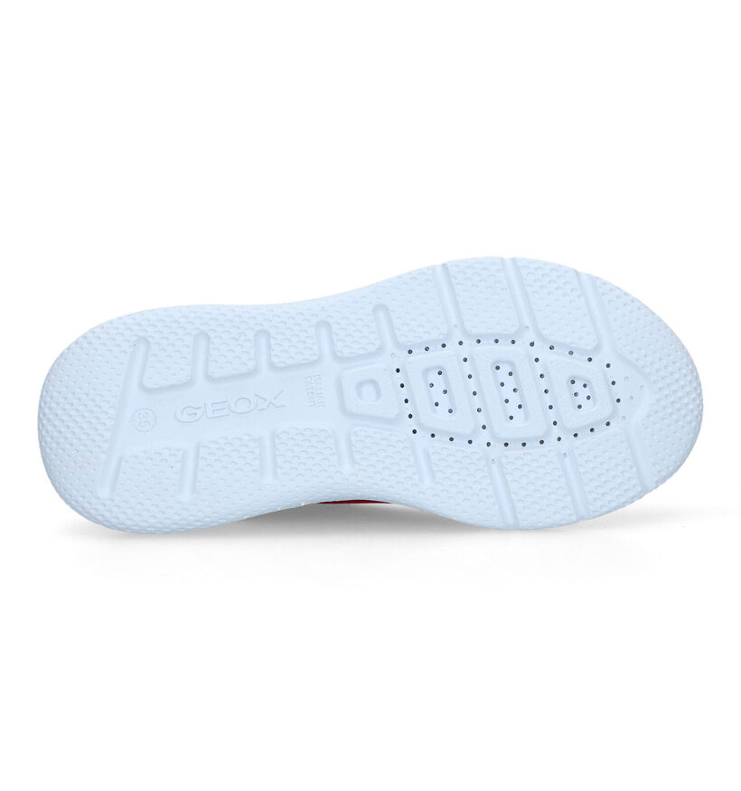 Geox Sprintye Blauwe Sneakers voor jongens (339641)