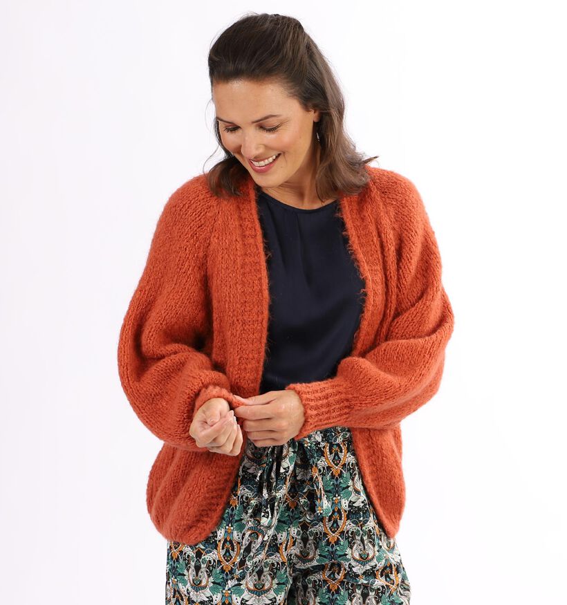 Dolce C. Oranje Cardigan (304353)