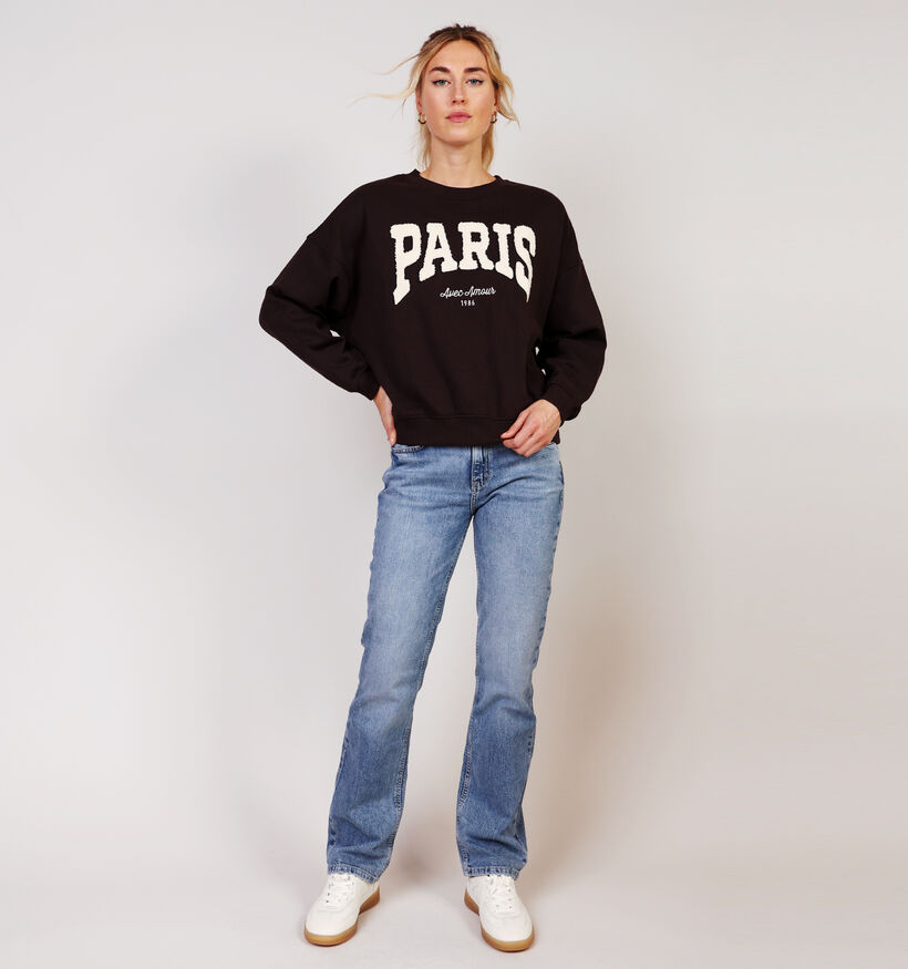 JDY Mesa Paris Donkerbruine Trui voor dames (365964)
