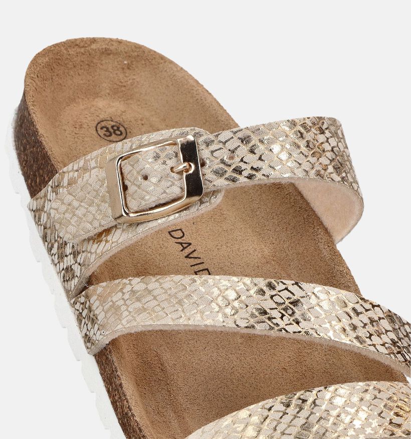 Laurent David Gouden Slippers voor dames (373776)