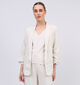 Pieces Pia Bosella Beige Blazer voor dames (351111)