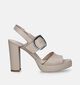 NeroGiardini Beige Sandalen Met Blokhak voor dames (339538)