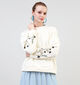 Vero Moda Ivy Beige Sweater voor dames (343698)