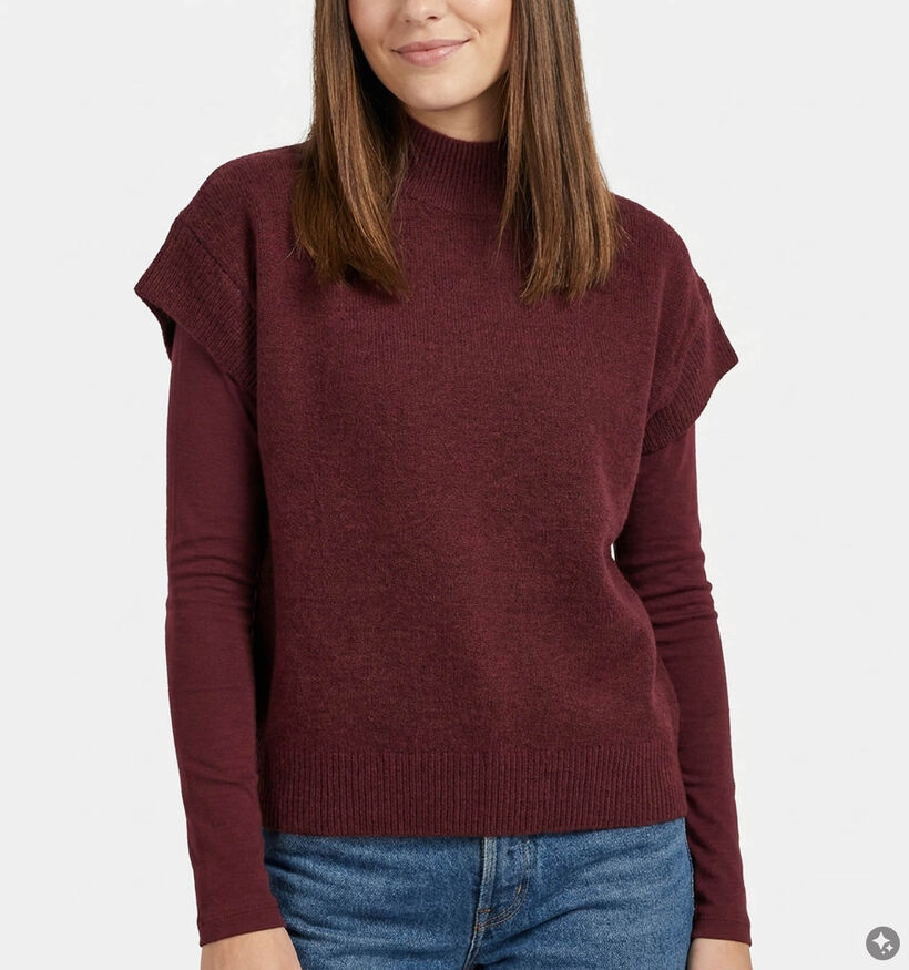 Deeluxe Original Adeline Bordeaux Trui met Korte Mouwen voor dames (382274)