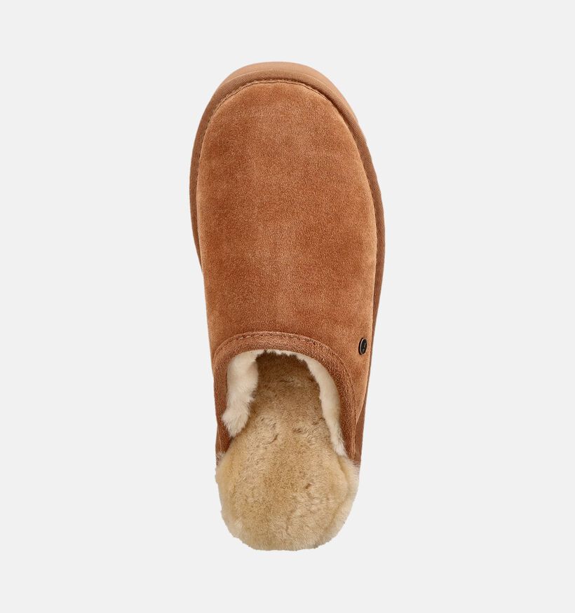 Warmbat Classic Pantoufles ouvertes en Cognac pour hommes (379287)