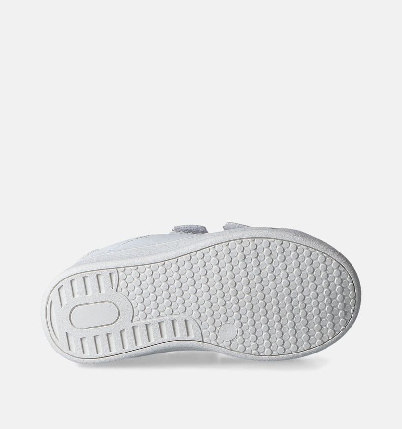 Tommy Hilfiger Baskets basses en Blanc pour filles (352610)