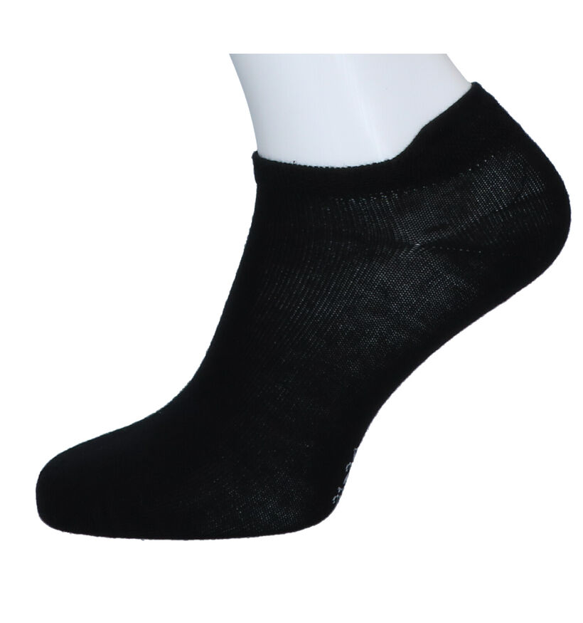 Teckel Socks Socquettes en Noir (292402)