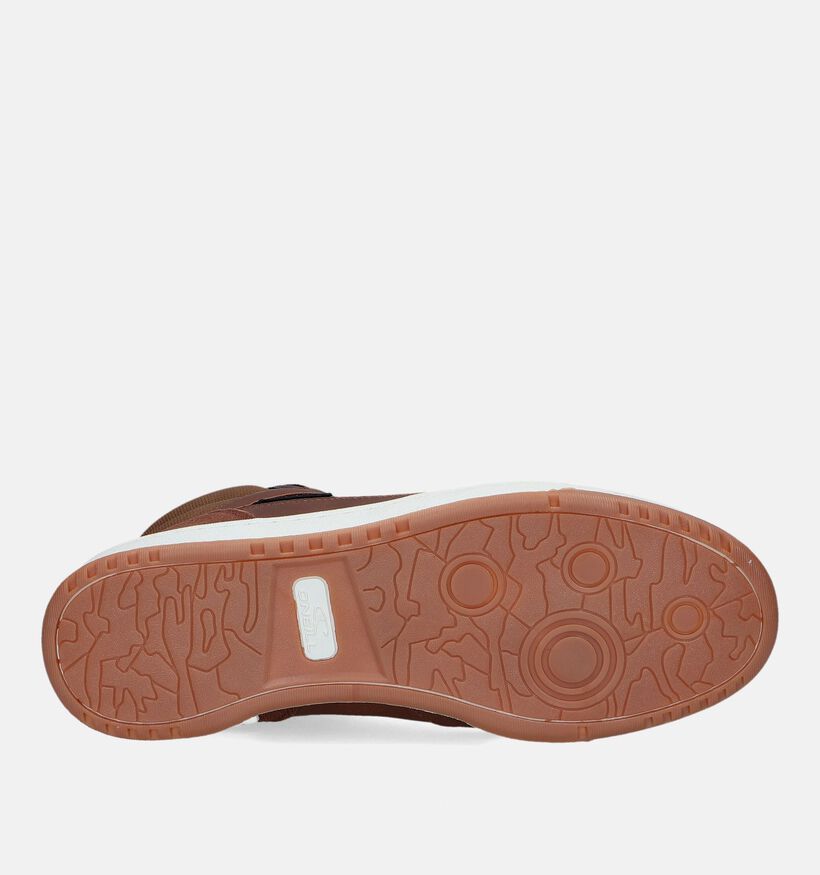 O'Neill Barco Baskets en Cognac pour hommes (329353)