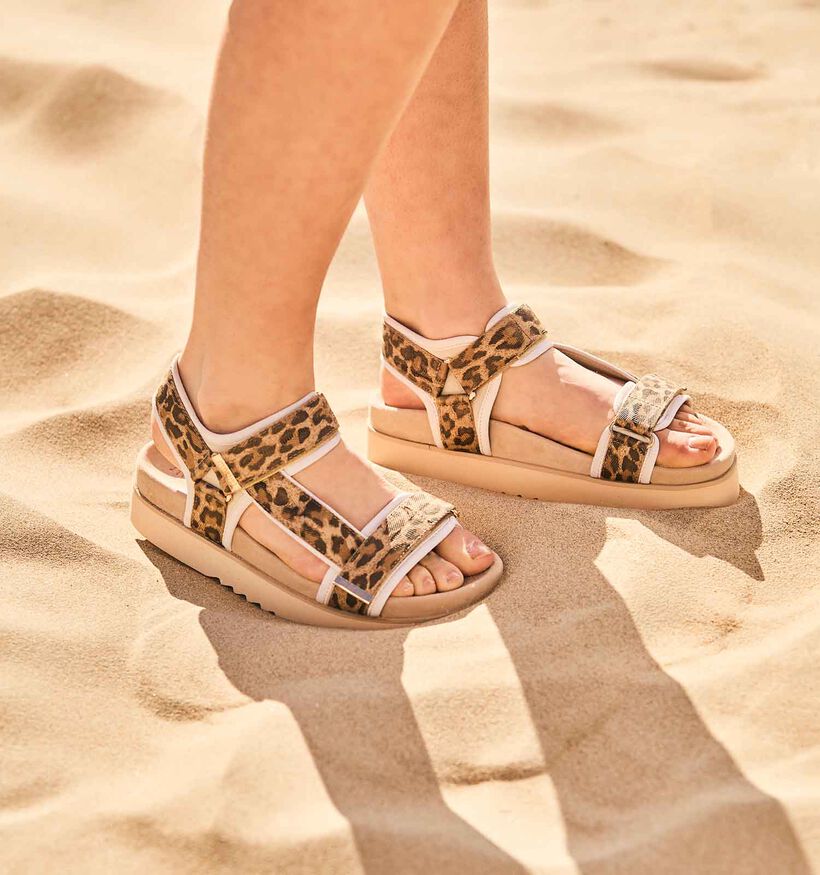 Maruti Beau Sandalen Bruin voor dames (355860)