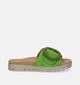 Gabor Best Fitting Nu-pieds en Vert pour femmes (339397)