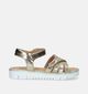 Lunella Gouden Sandalen voor meisjes (338904)