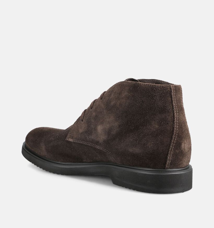NeroGiardini Chaussures classiques en Brun fonc&eacute; pour hommes (382161)