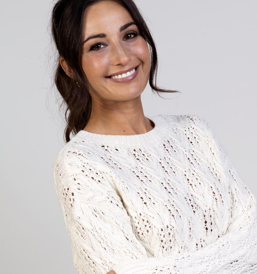 Vero Moda Denia Ecru Trui voor dames (366412)