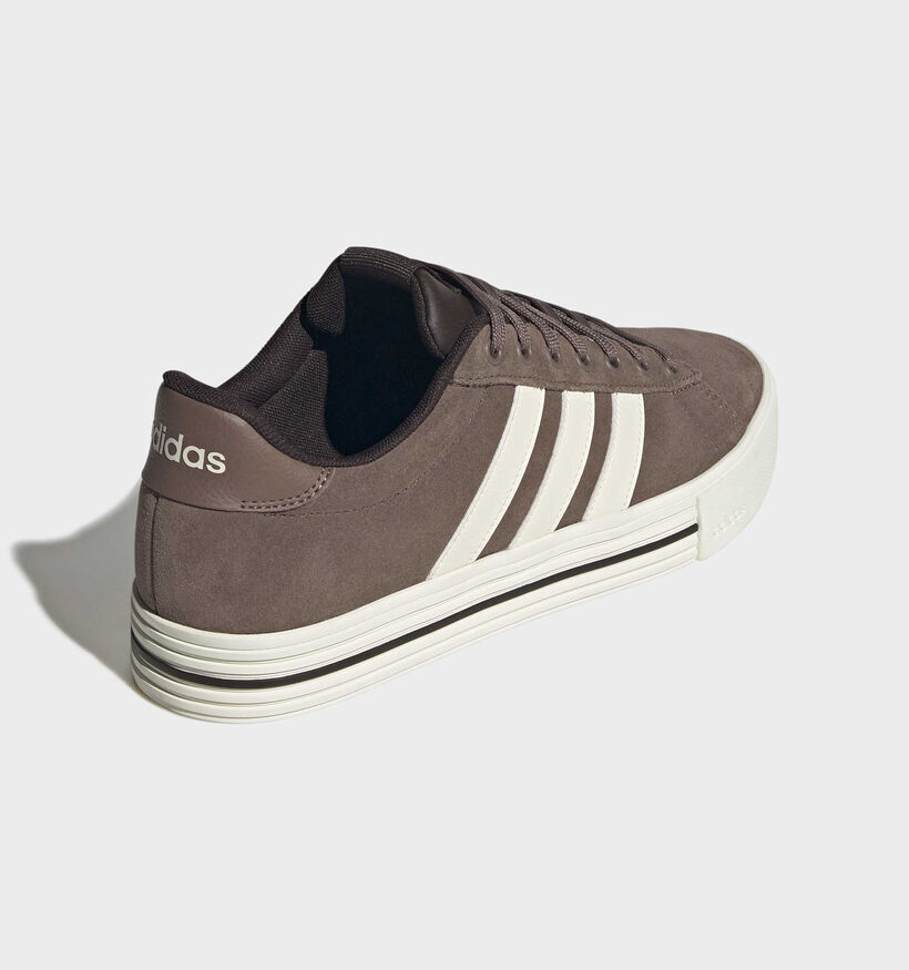 adidas Daily 4.0 Baskets basses en Marron pour hommes (366872)