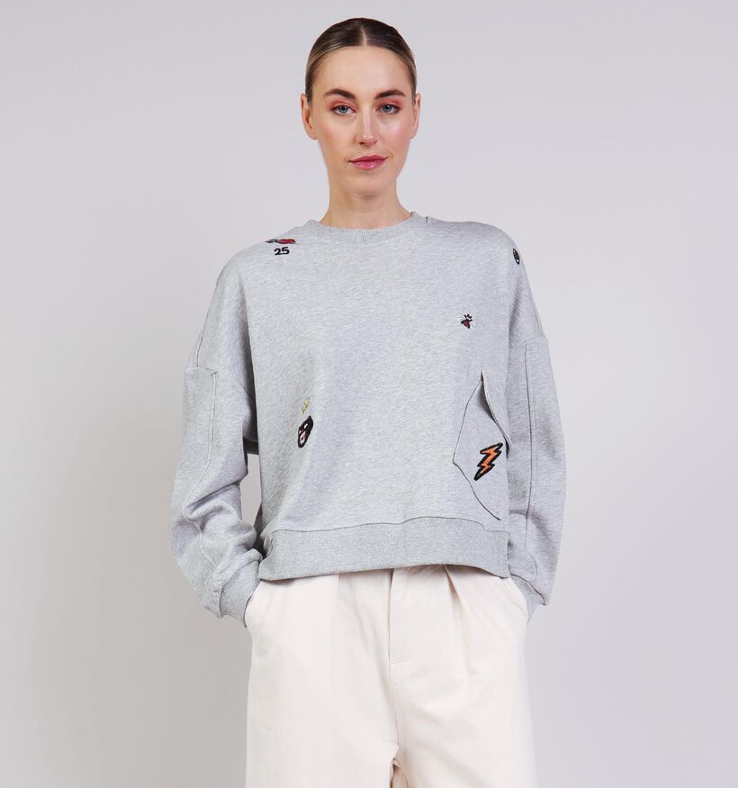 Ador&eacute; Soraya Lichtgrijze Sweater voor dames (376748)