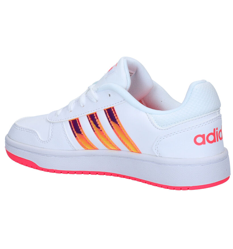 adidas Hoops Witte Sneakers in kunstleer (284524)