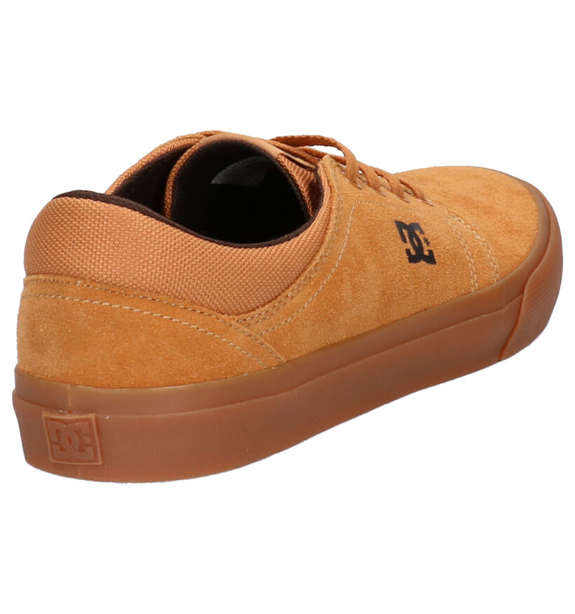 DC Shoes Trase SD Naturel Sneakers in daim (254812)