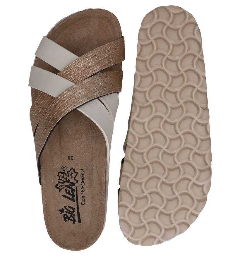 Big Leaf Taupe Slippers in kunstleer (292597)