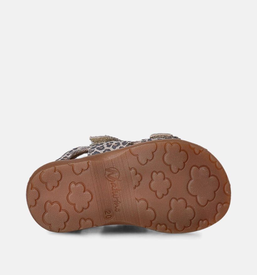 Naturino Revion Jaguar Bruine Sandalen voor meisjes (356303)