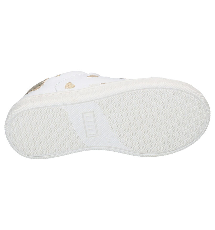 Clic! Baskets basses en Blanc en cuir (270506)