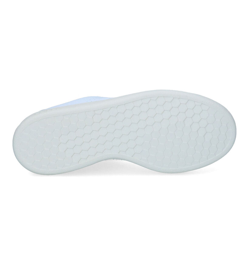 adidas Advantage Baskets en Blanc pour femmes (341435)