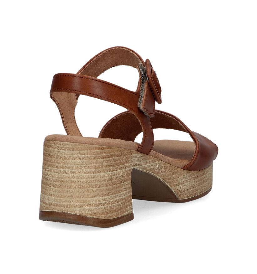 Gabor Comfort Zwarte Sandalen voor dames (323360)