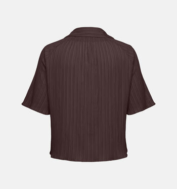 ONLY Carmakoma Blouses Bruin