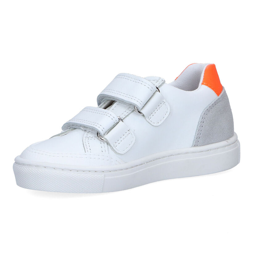 CKS Cedric Witte Velcroschoenen in leer (308261)